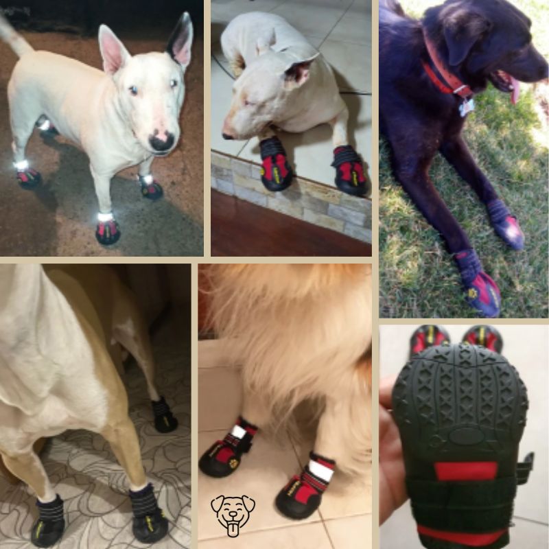 Boots waterproof pour chien